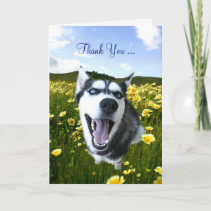 Vriendschap Bedankt met Schattigee Husky Flowers