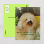 vriendschap briefkaart (Voorkant / Achterkant)