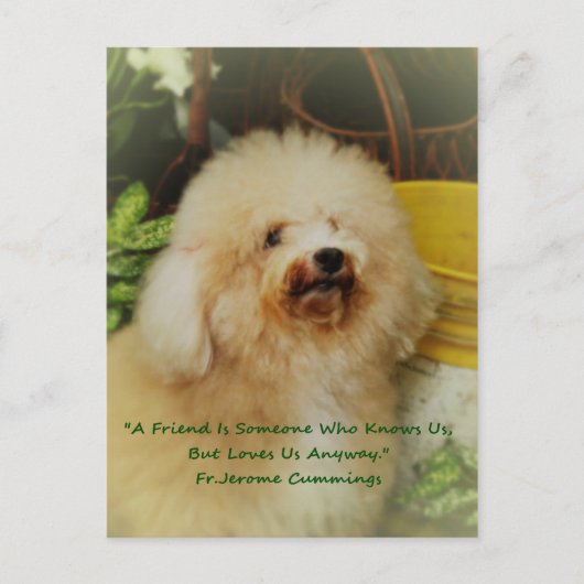 vriendschap briefkaart (Voorkant)