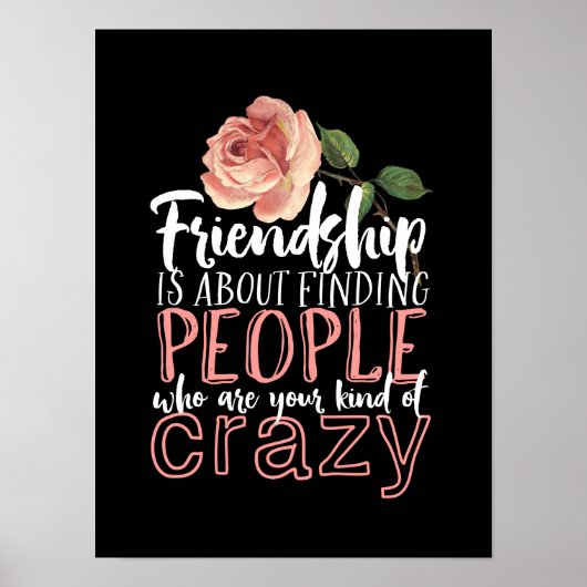 Vriendschap Citaat Cool Crazy Best Friends Poster (Voorkant)