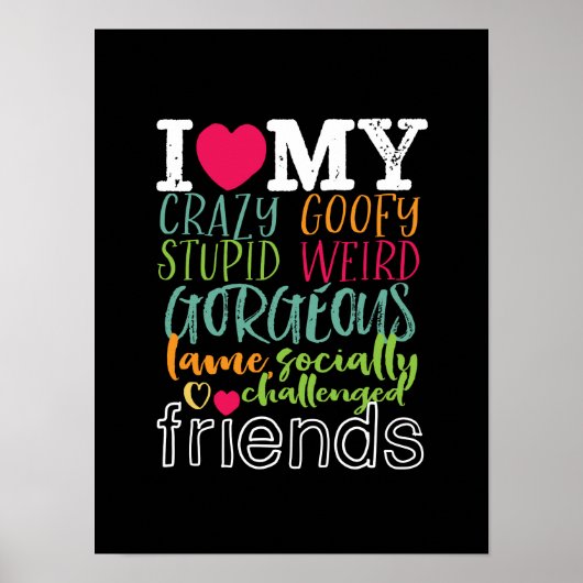 Vriendschap Citaat I Love My Crazy Stupid Friends Poster (Voorkant)