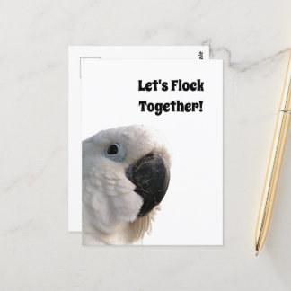 Vriendschap Dag Kaketoe Flock Samen Grappig Foto Briefkaart