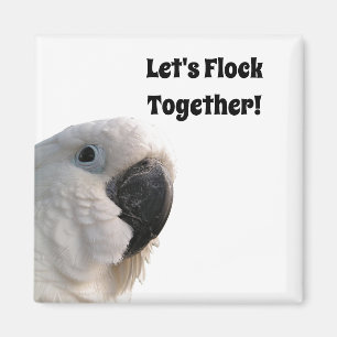 Vriendschap Dag Kaketoe Flock Samen Grappig Foto Magneet