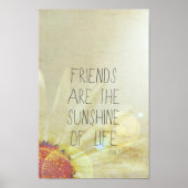 Vriendschap en zonneschijn poster (Voorkant)