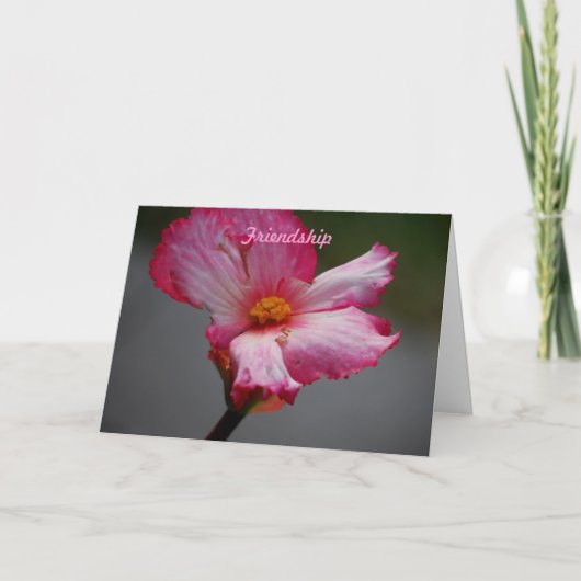 vriendschap feestdagen kaart (Voorkant)