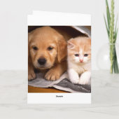 Vriendschap Golden Retriever Puppy & Kitten Kaart (Achterkant)