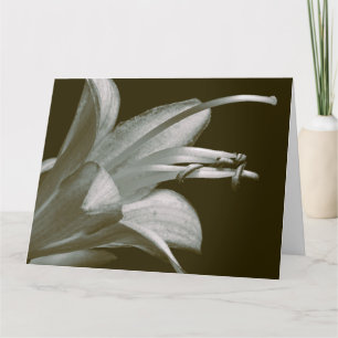 Vriendschap Hosta Bloem, Elegante Vintage Sepia Kaart