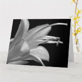 Vriendschap in zwart-wit Wenskaart Kaart (Gele Bloem)