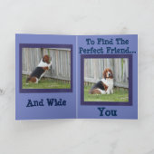 Vriendschap Kaart met het zoeken naar Basset Hound (Binnen)