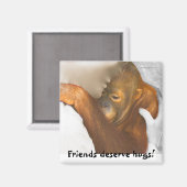 Vriendschap knuffel magneet (Voorkant / Achterkant)