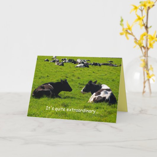 Vriendschap, landschap, boerderij scène, grappig,  kaart (Gele Bloem)