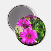 vriendschap magneet (Voorkant / Achterkant)