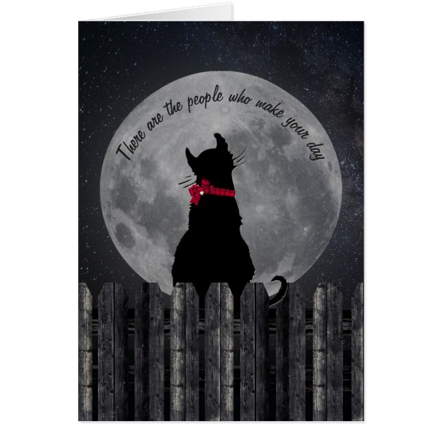 vriendschap met een kat in het moonlight van de he (Voorkant)