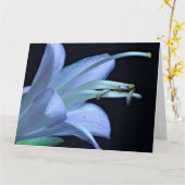 Vriendschap - Mooie Macro Hosta Bloem Foto Kaart (Gele Bloem)