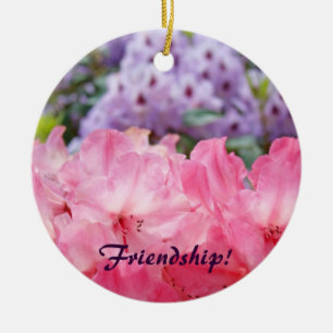 Vriendschap! ornament Pink Rhodies Holiday ornamen