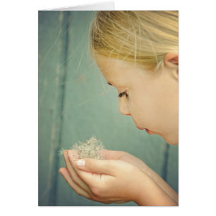 Vriendschap Paardenbloem Zaden