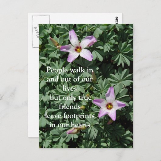 Vriendschap - paarse bloemen briefkaart (Voorkant / Achterkant)