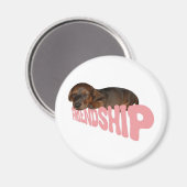 Vriendschap puppy / hond is mannen beste vriend, r magneet (Voorkant / Achterkant)