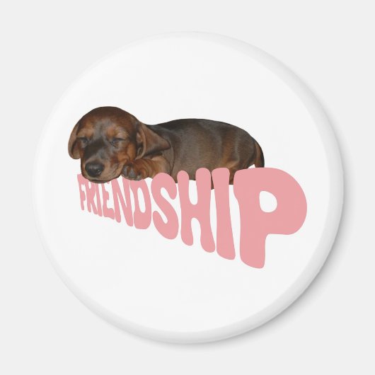 Vriendschap puppy / hond is mannen beste vriend, r magneet (Voorkant)