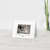 Vriendschap puppy humor kaart (Achterkant)