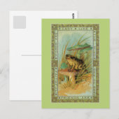 Vriendschap, Victoriaans kikker (pad), tandbeerput Briefkaart (Voorkant / Achterkant)