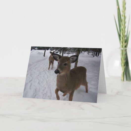 vriendschappelijke herten kaart (Voorkant)