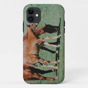 VRIENDSCHAPPELIJKE PAARDEN iPhone 11 HOESJE