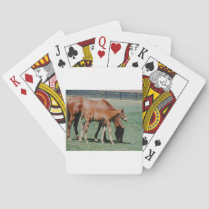 VRIENDSCHAPPELIJKE PAARDEN POKERKAARTEN