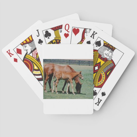VRIENDSCHAPPELIJKE PAARDEN POKERKAARTEN (Achterkant)