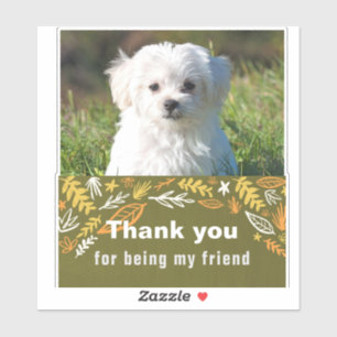 Vriendschapsdag Sticker