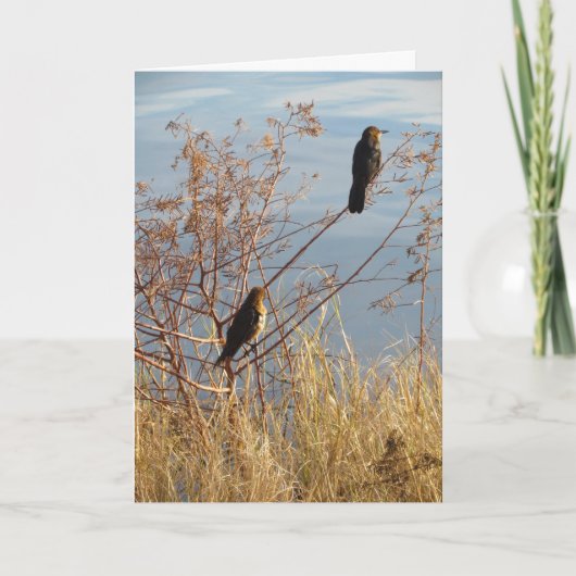 Vriendschapsdier Kaart - Achtertuin vogels - Grack (Voorkant)