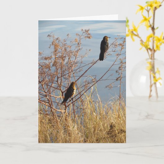 Vriendschapsdier Kaart - Achtertuin vogels - Grack (Gele Bloem)