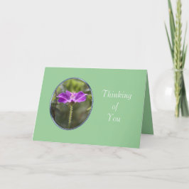 vriendschapskaart kaart