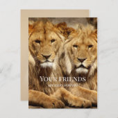 Vriendschapsleeuwen krijgen snel Briefkaart (Voorkant / Achterkant)