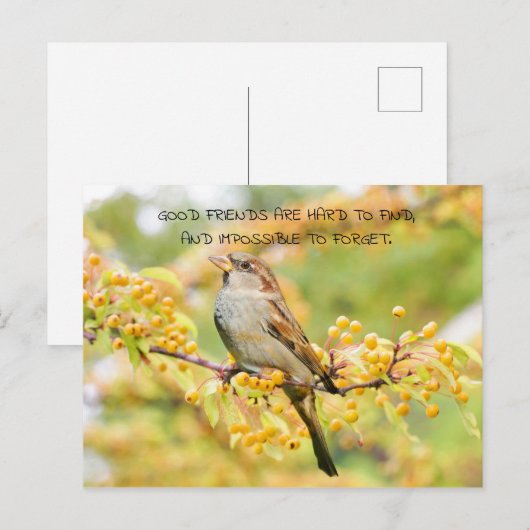 Vriendschapsquote Vogel en Gele Bloemen Briefkaart (Voorkant / Achterkant)