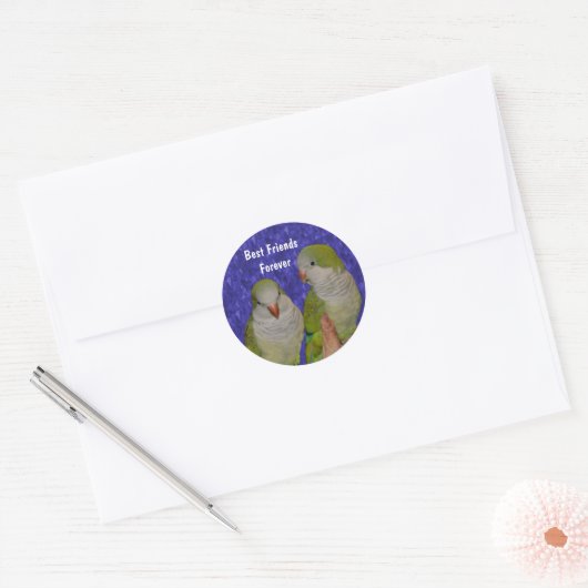 Vriendschapsvriendschap Ronde Sticker (Envelop)