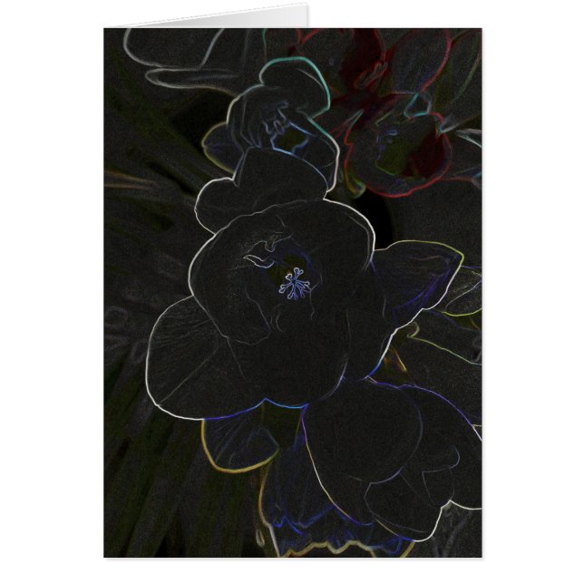 vriesbloemen (Voorkant)