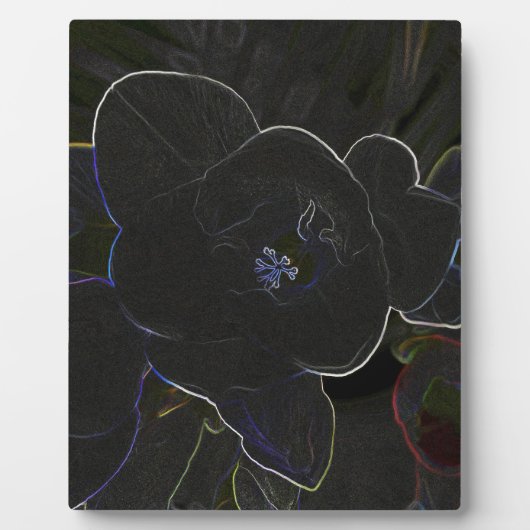 vriesbloemen fotoplaat (Voorkant)