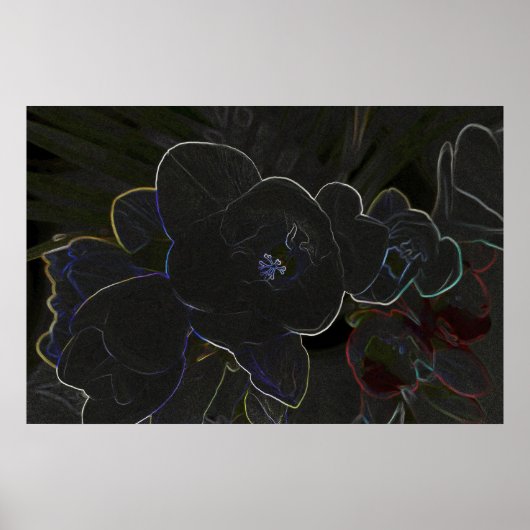 vriesbloemen poster (Voorkant)