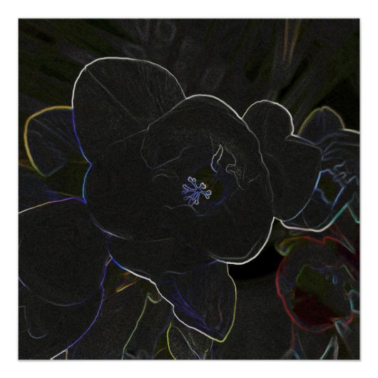 vriesbloemen poster (Voorkant)