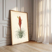 Vriesea Botanische Print Muur Kunst