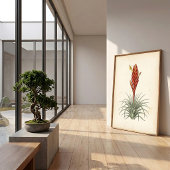 Vriesea Botanische Print Muur Kunst