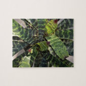 Vriesea Splendens Bromeliad Plant Striped Leaves Legpuzzel (Horizontaal)