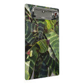 Vriesea Splendens Bromeliad Plant Striped Leaves Mini Klembord (Schuin)