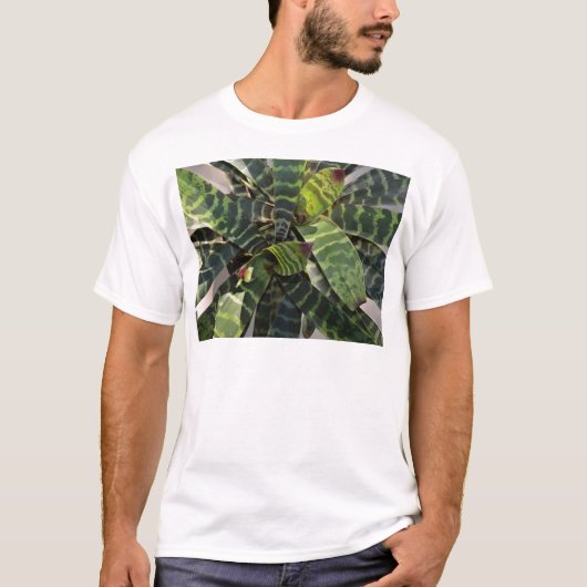 Vriesea Splendens Bromeliad Plant Striped Leaves T-shirt (Voorkant)