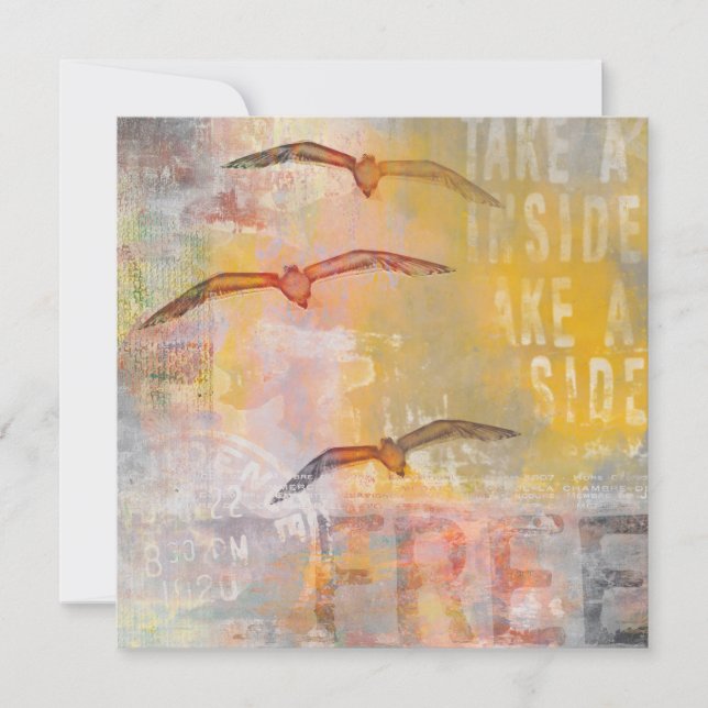 Vrij als een vogel (Voorkant)