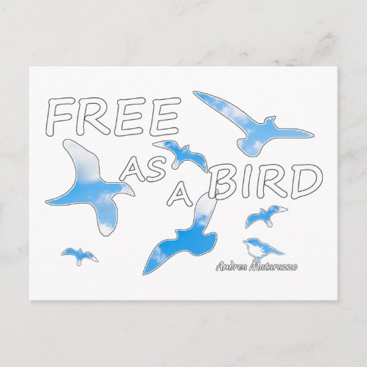 Vrij als een vogel 2 briefkaart (Voorkant)