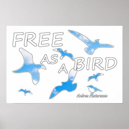 Vrij als een vogel 2 poster (Voorkant)