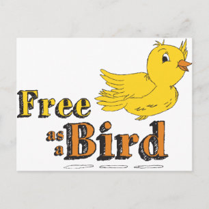 Vrij als een vogelvrij als een vogelgele vliegende briefkaart