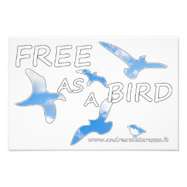 Vrij als vogelvrij foto afdruk